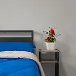 Cozy Full House